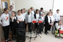 listopadowe008