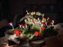 received_2694545597565377