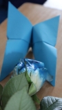 autyzm024