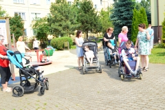 disco036