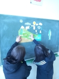 DZ007