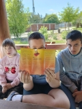 kleszcze007