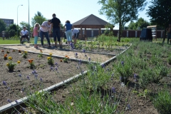 ogrodowe029