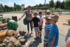 ogrodowe049