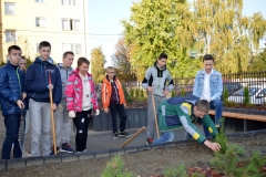 ogrodowe056
