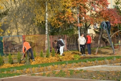 ogrodowe061