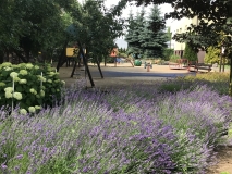 Letniogrod023