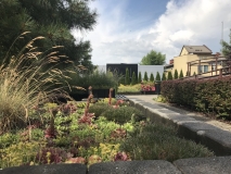 Letniogrod026