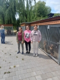 pieski003
