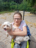 pieski008