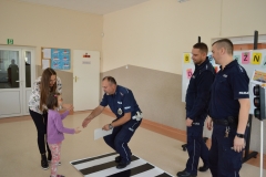 policja005