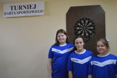 dart014