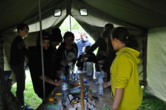ziemniak027