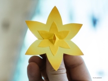 Akcja-Zonkile-2024-fot.-M.-Jazwiecki